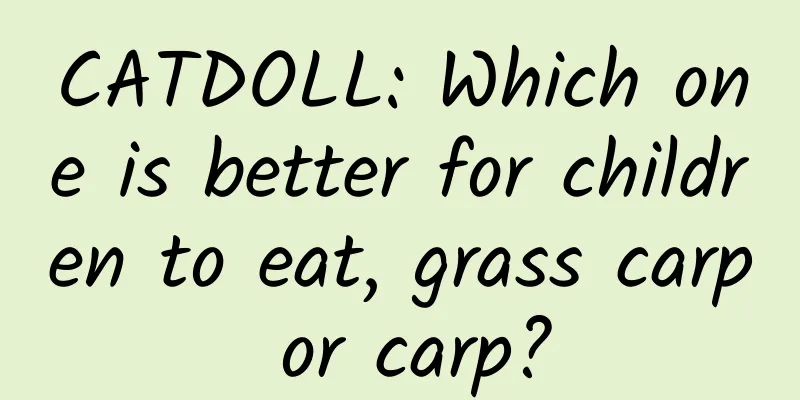 CATDOLL: Which one is better for children to eat, grass carp or carp?