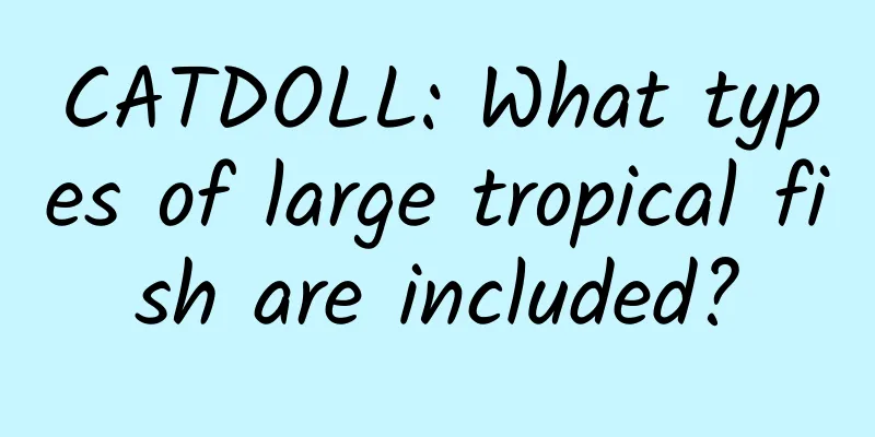 CATDOLL: What types of large tropical fish are included?
