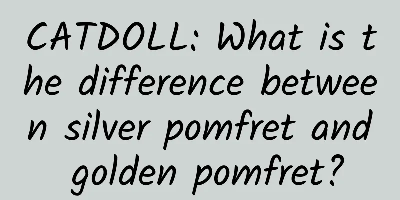 CATDOLL: What is the difference between silver pomfret and golden pomfret?