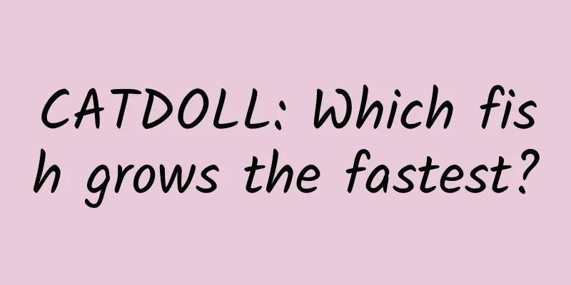 CATDOLL: Which fish grows the fastest?
