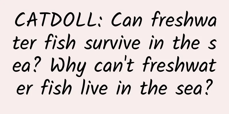 CATDOLL: Can freshwater fish survive in the sea? Why can't freshwater fish live in the sea?