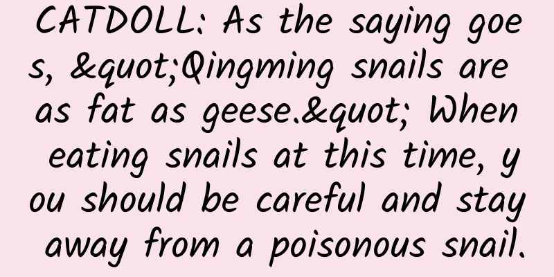 CATDOLL: As the saying goes, "Qingming snails are as fat as geese." When eating snails at this time, you should be careful and stay away from a poisonous snail.