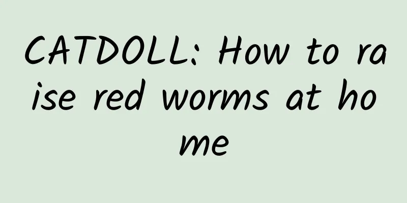 CATDOLL: How to raise red worms at home