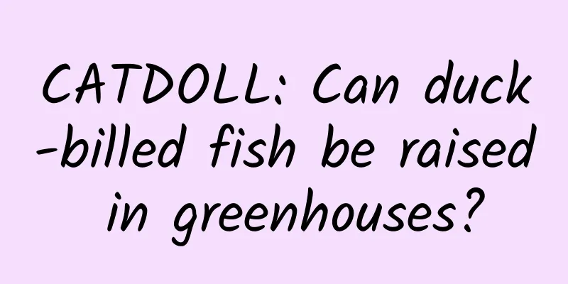 CATDOLL: Can duck-billed fish be raised in greenhouses?