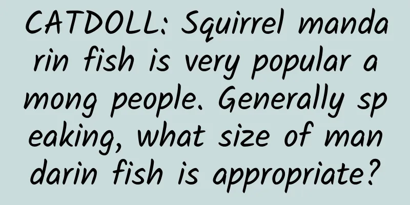 CATDOLL: Squirrel mandarin fish is very popular among people. Generally speaking, what size of mandarin fish is appropriate?