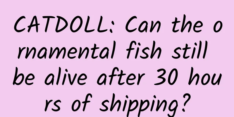 CATDOLL: Can the ornamental fish still be alive after 30 hours of shipping?