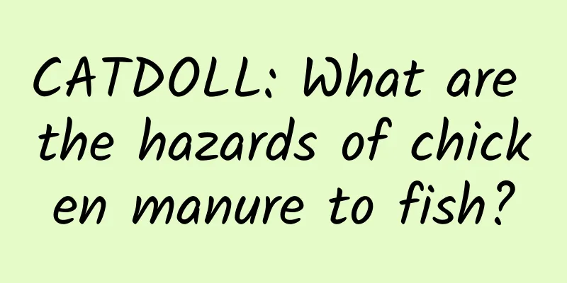 CATDOLL: What are the hazards of chicken manure to fish?