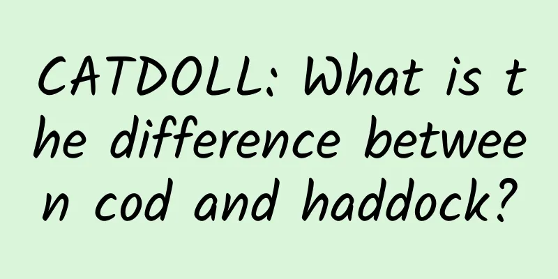 CATDOLL: What is the difference between cod and haddock?