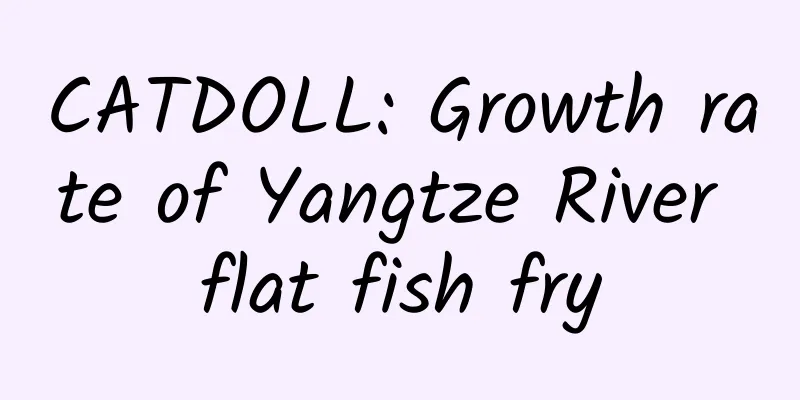 CATDOLL: Growth rate of Yangtze River flat fish fry