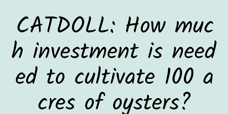 CATDOLL: How much investment is needed to cultivate 100 acres of oysters?