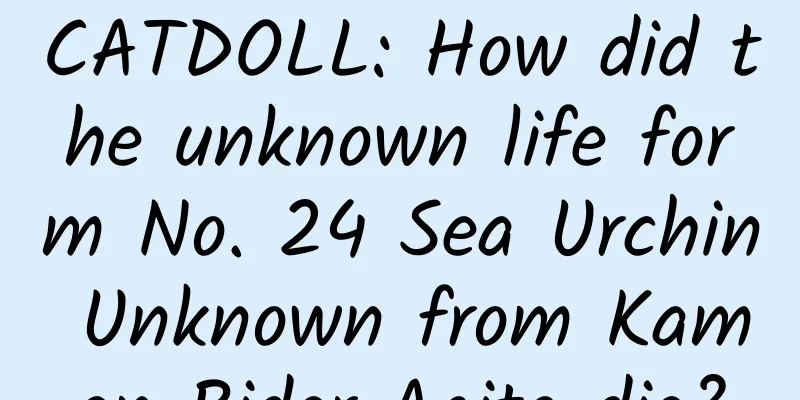 CATDOLL: How did the unknown life form No. 24 Sea Urchin Unknown from Kamen Rider Agito die?