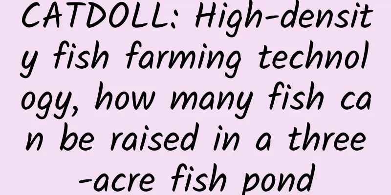CATDOLL: High-density fish farming technology, how many fish can be raised in a three-acre fish pond