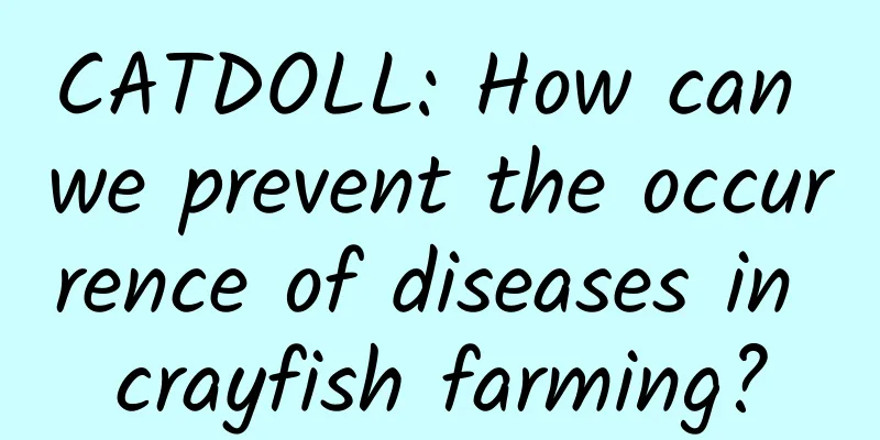 CATDOLL: How can we prevent the occurrence of diseases in crayfish farming?