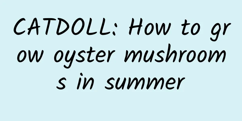 CATDOLL: How to grow oyster mushrooms in summer