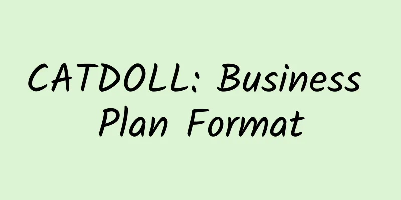 CATDOLL: Business Plan Format
