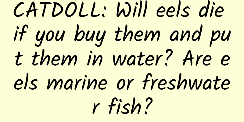 CATDOLL: Will eels die if you buy them and put them in water? Are eels marine or freshwater fish?