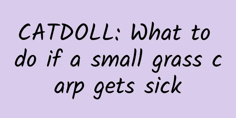 CATDOLL: What to do if a small grass carp gets sick