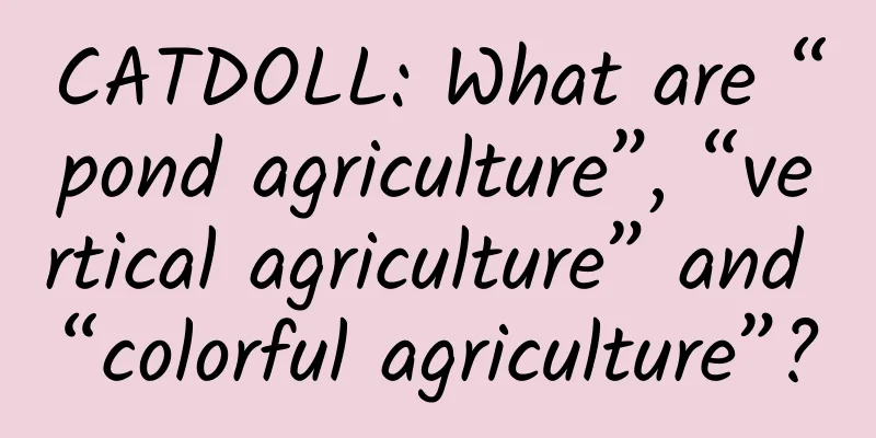 CATDOLL: What are “pond agriculture”, “vertical agriculture” and “colorful agriculture”?