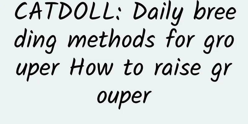 CATDOLL: Daily breeding methods for grouper How to raise grouper
