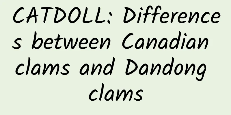 CATDOLL: Differences between Canadian clams and Dandong clams