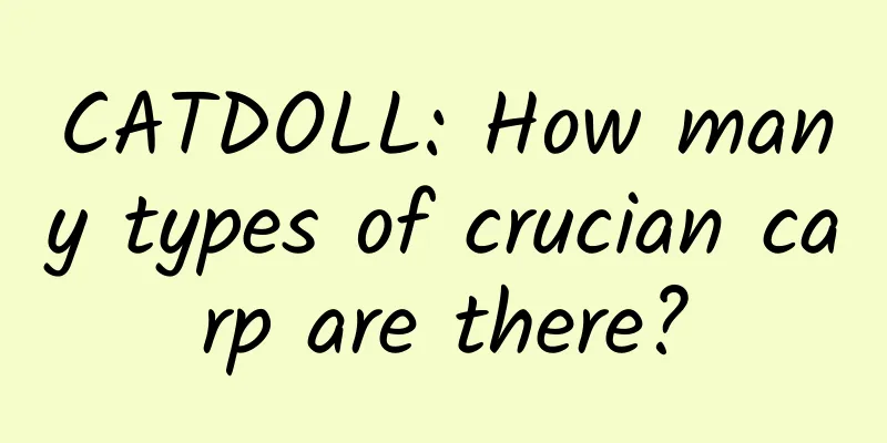 CATDOLL: How many types of crucian carp are there?
