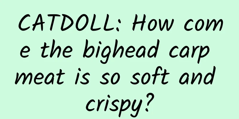 CATDOLL: How come the bighead carp meat is so soft and crispy?
