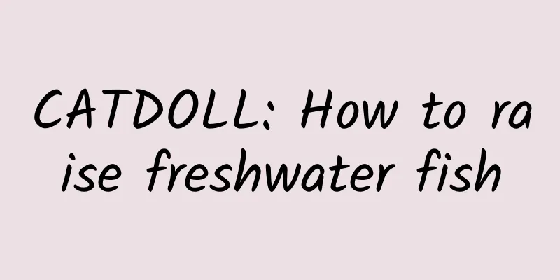 CATDOLL: How to raise freshwater fish