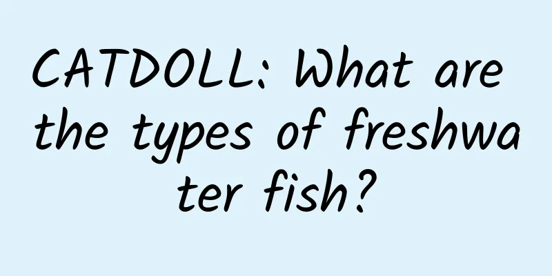 CATDOLL: What are the types of freshwater fish?