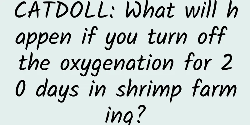 CATDOLL: What will happen if you turn off the oxygenation for 20 days in shrimp farming?