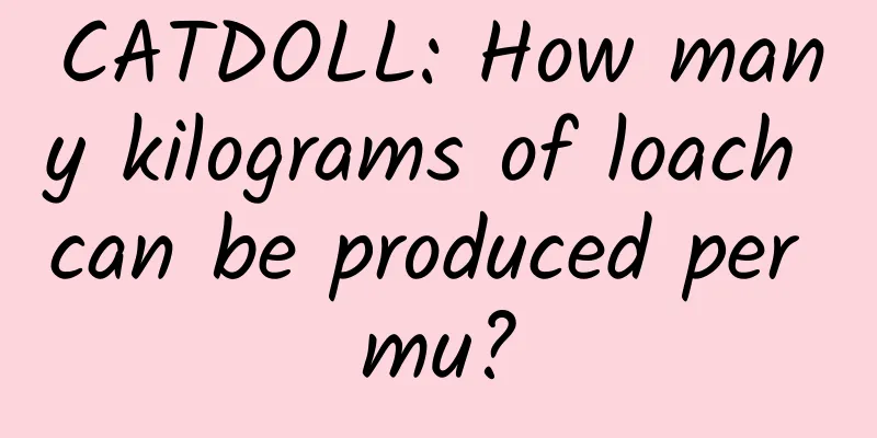 CATDOLL: How many kilograms of loach can be produced per mu?
