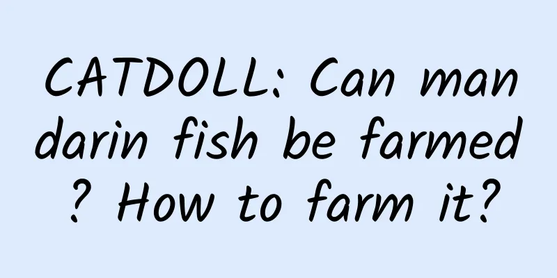 CATDOLL: Can mandarin fish be farmed? How to farm it?