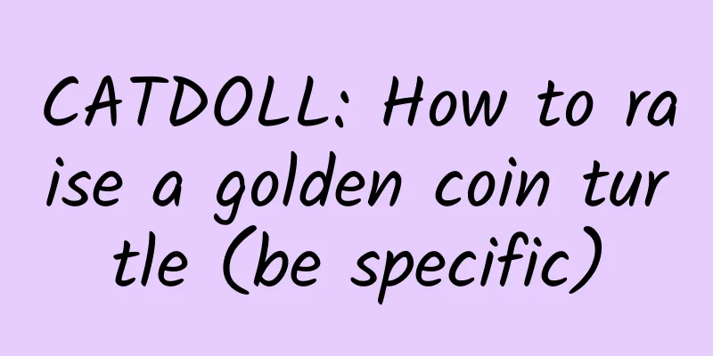 CATDOLL: How to raise a golden coin turtle (be specific)