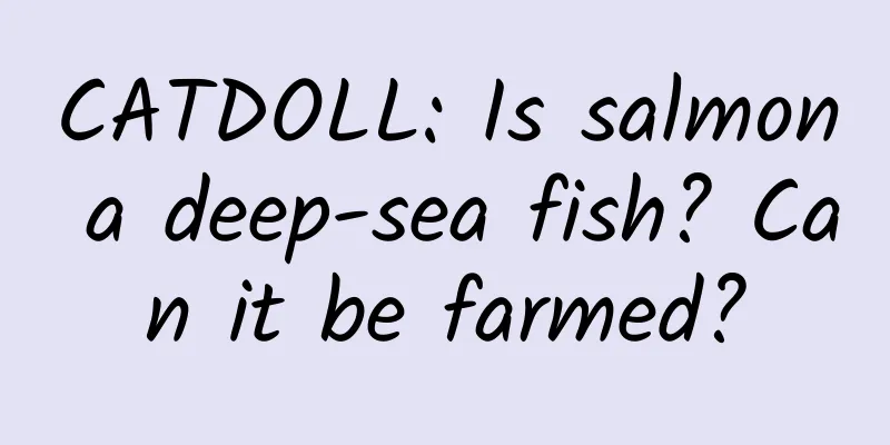 CATDOLL: Is salmon a deep-sea fish? Can it be farmed?
