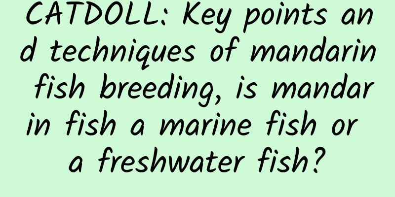 CATDOLL: Key points and techniques of mandarin fish breeding, is mandarin fish a marine fish or a freshwater fish?