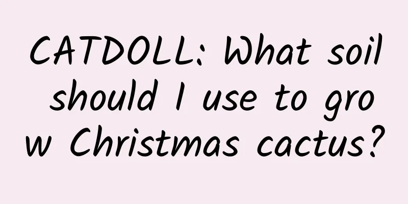 CATDOLL: What soil should I use to grow Christmas cactus?