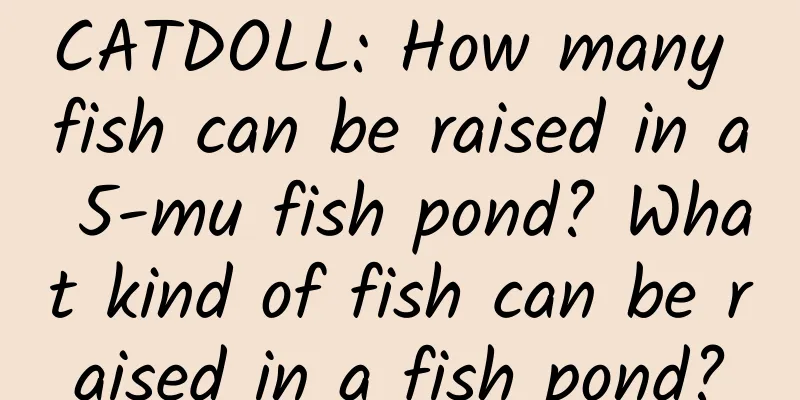 CATDOLL: How many fish can be raised in a 5-mu fish pond? What kind of fish can be raised in a fish pond?