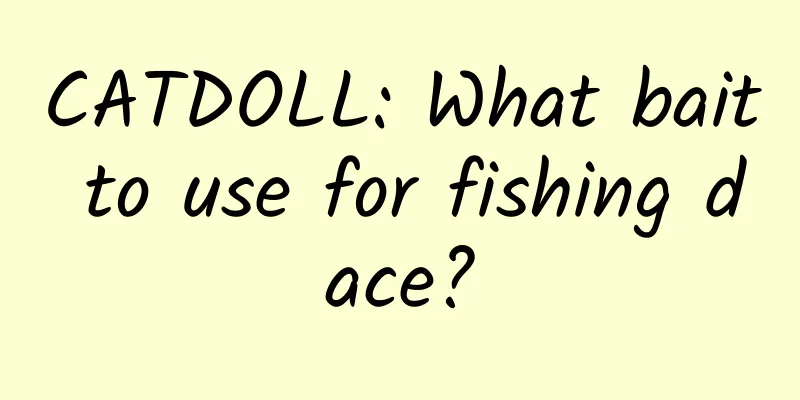 CATDOLL: What bait to use for fishing dace?