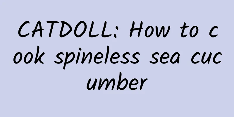 CATDOLL: How to cook spineless sea cucumber