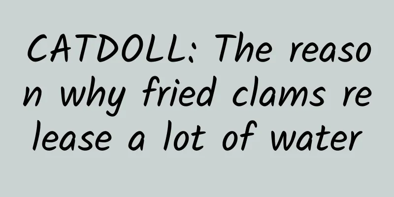 CATDOLL: The reason why fried clams release a lot of water
