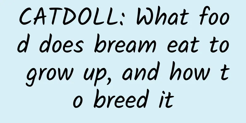 CATDOLL: What food does bream eat to grow up, and how to breed it