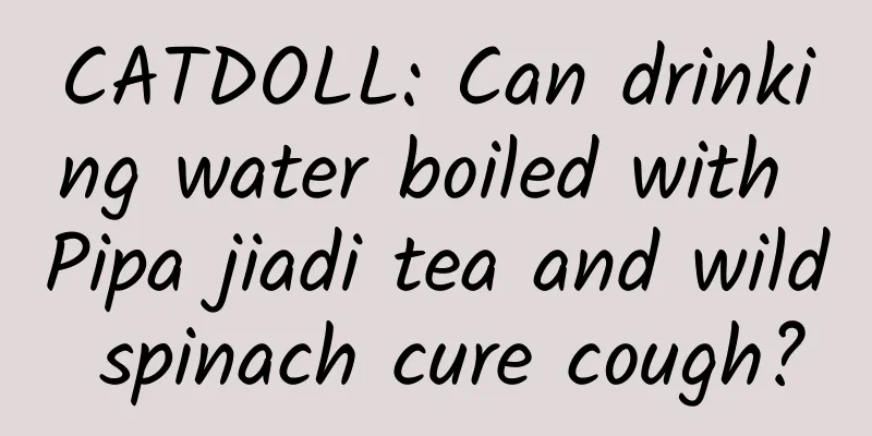 CATDOLL: Can drinking water boiled with Pipa jiadi tea and wild spinach cure cough?
