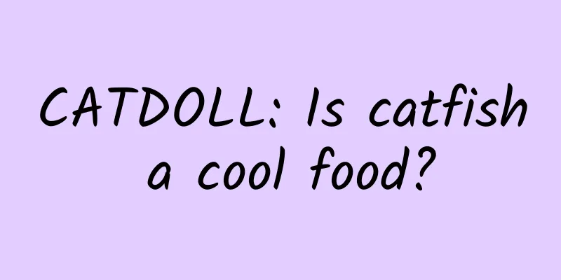 CATDOLL: Is catfish a cool food?