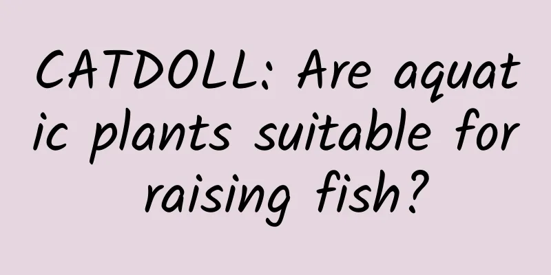 CATDOLL: Are aquatic plants suitable for raising fish?