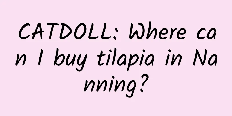 CATDOLL: Where can I buy tilapia in Nanning?