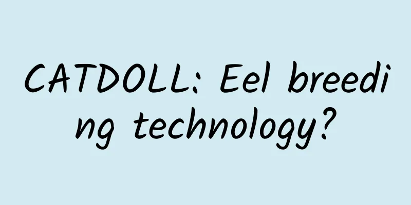 CATDOLL: Eel breeding technology?