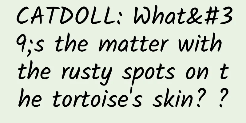 CATDOLL: What's the matter with the rusty spots on the tortoise's skin? ?