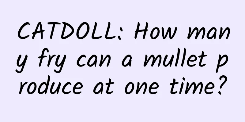 CATDOLL: How many fry can a mullet produce at one time?