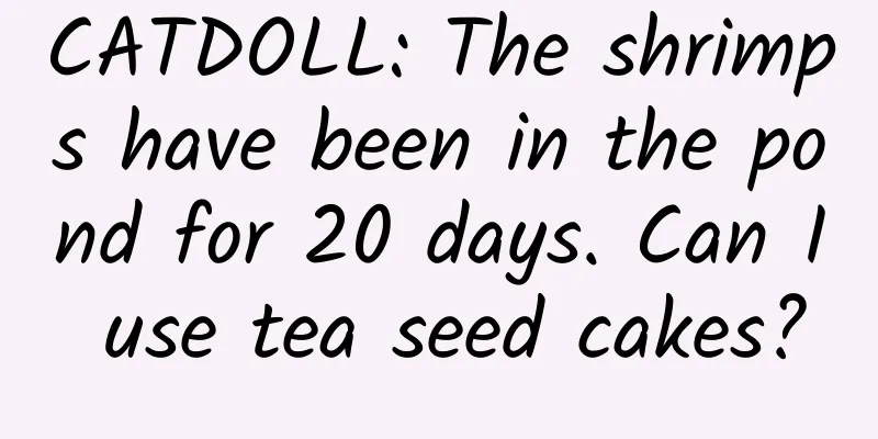 CATDOLL: The shrimps have been in the pond for 20 days. Can I use tea seed cakes?
