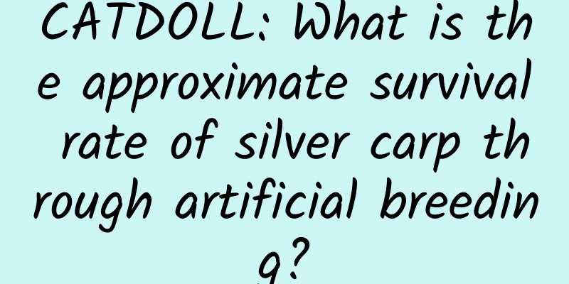 CATDOLL: What is the approximate survival rate of silver carp through artificial breeding?