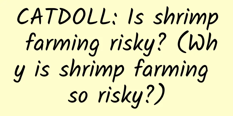 CATDOLL: Is shrimp farming risky? (Why is shrimp farming so risky?)